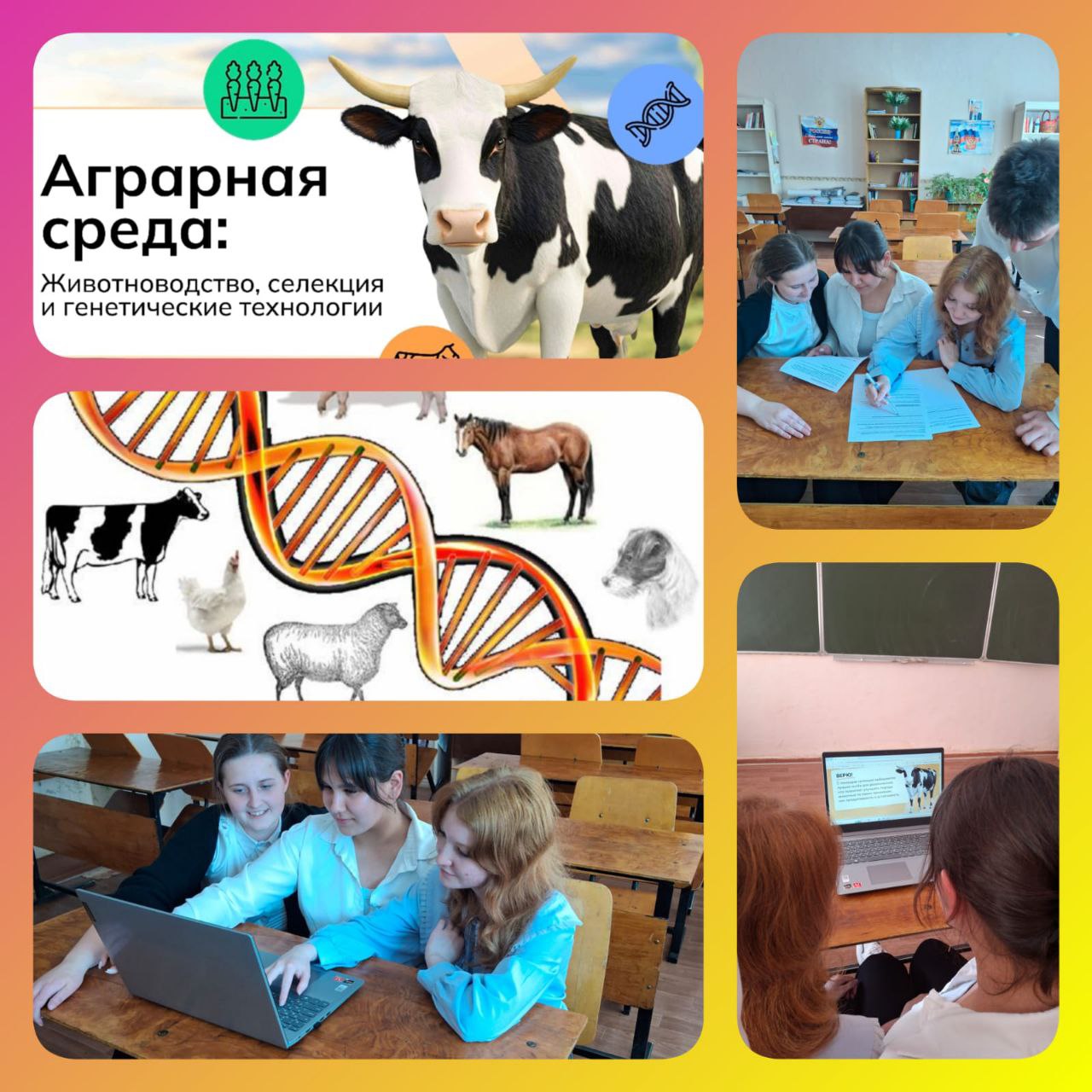 Профориентационные занятия.